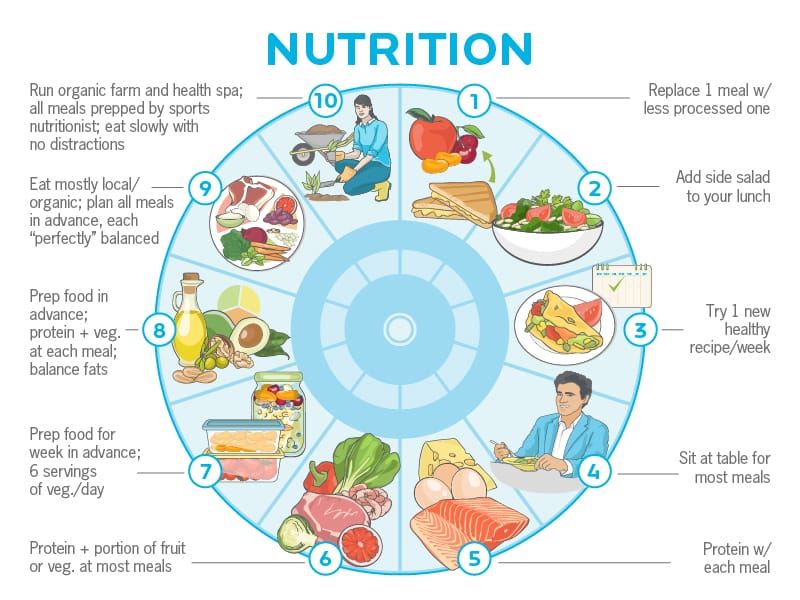 nutrition routine progressions 2
