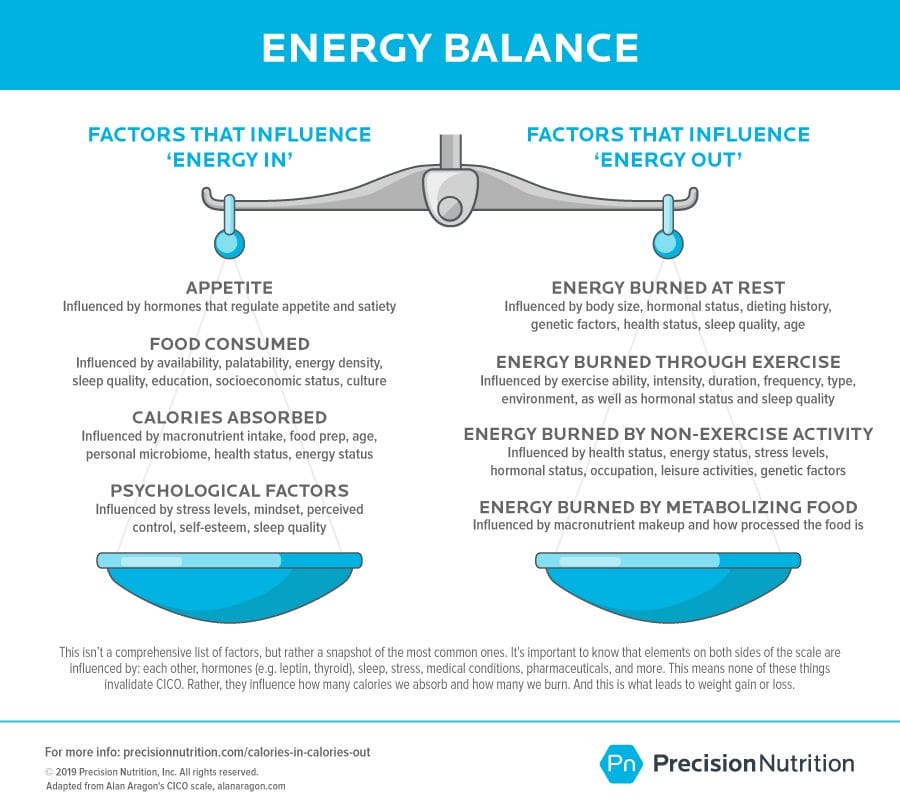 Scale Illustration 04 1